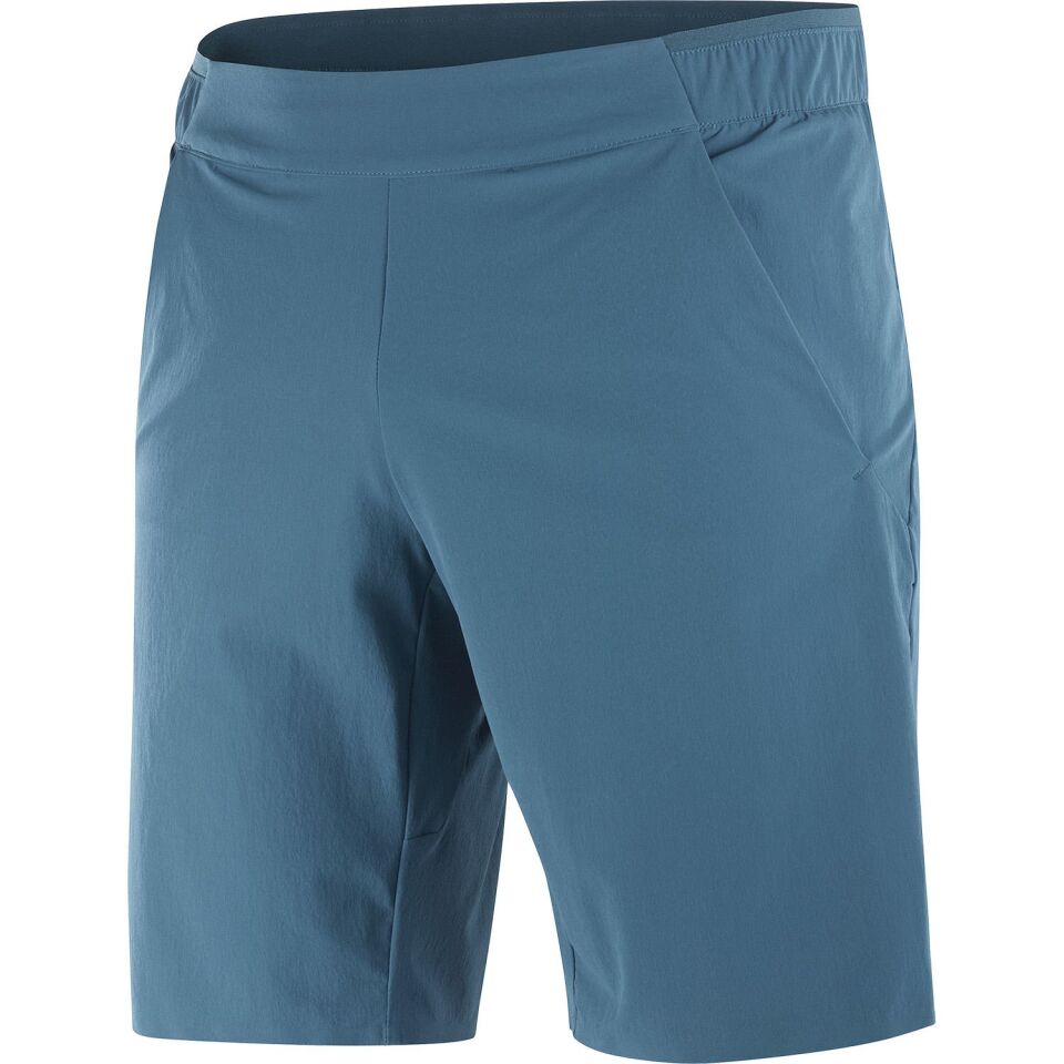 Salomon Wayfarer Ease Shorts Erkek Şort