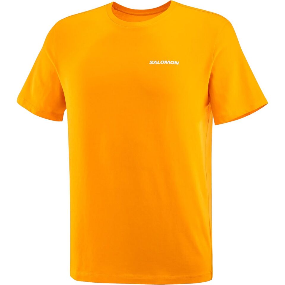 Salomon Graphic Perf SS Tee Erkek T-Shirt