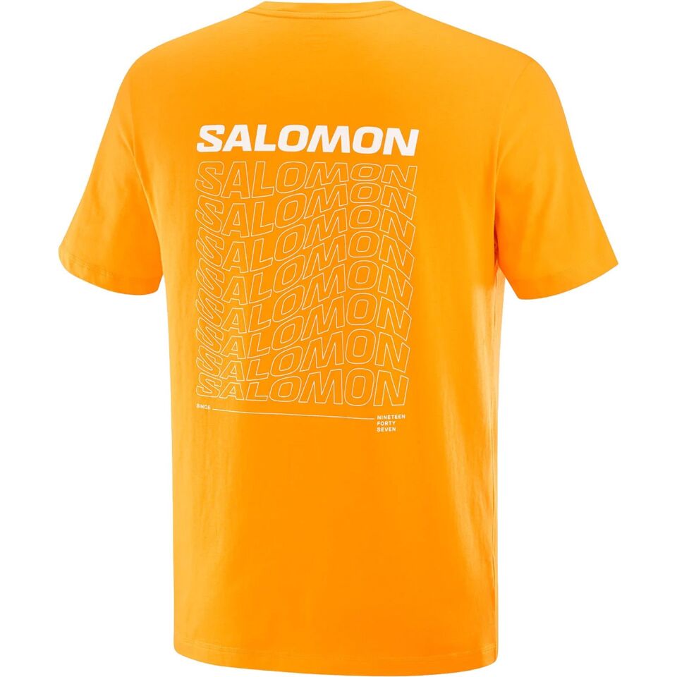 Salomon Graphic Perf SS Tee Erkek T-Shirt