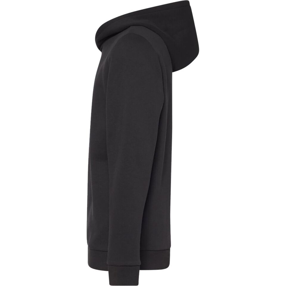 Oakley Canyon View Hoodie Erkek Sweatshirt